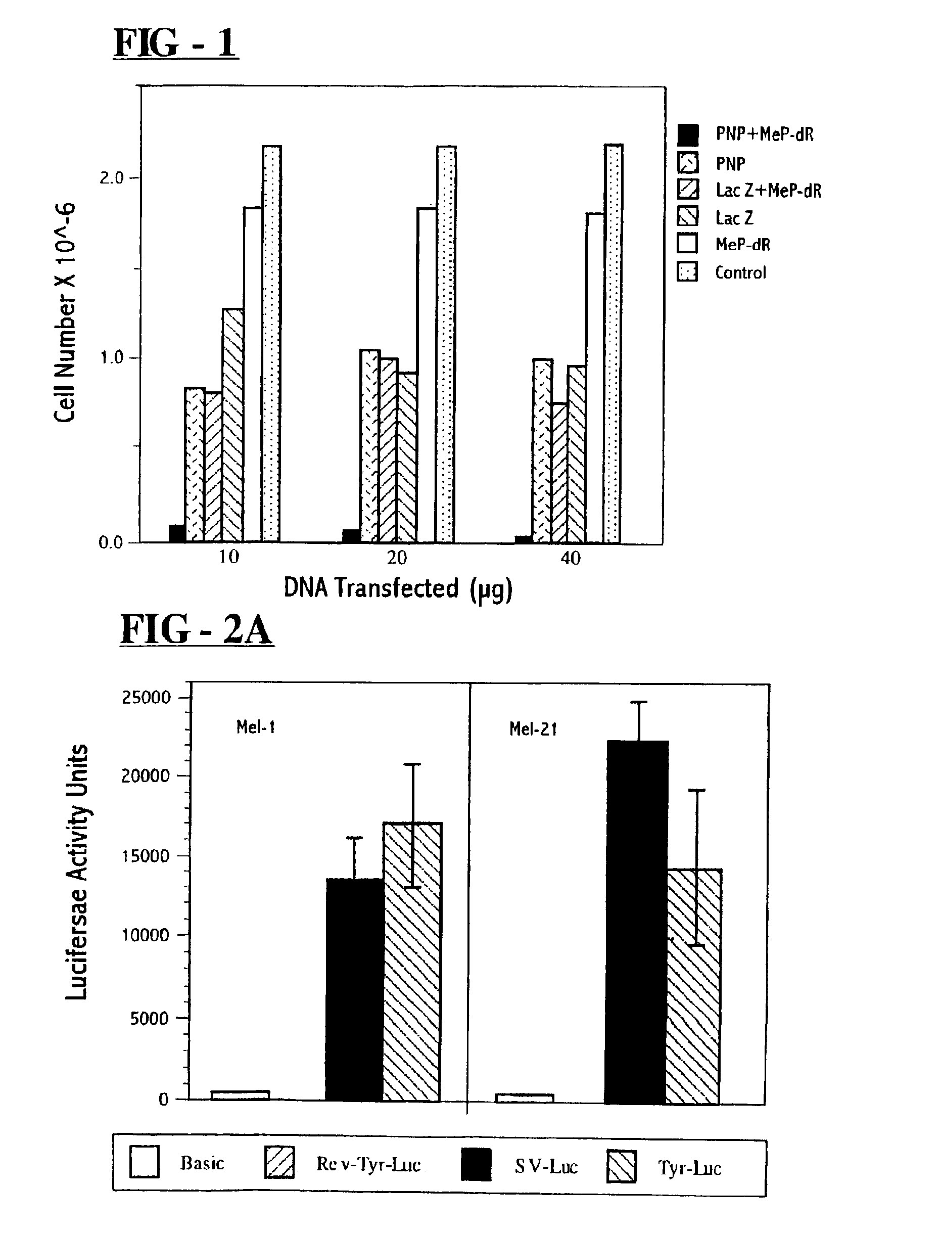 Recombinant bacterial cells for delivery of PNP to tumor cells