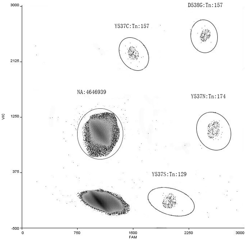 ESR1 gene mutation multiple detection primer probe and kit thereof