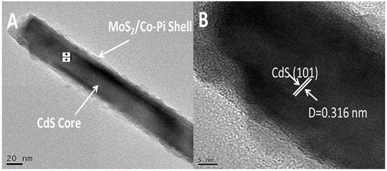 Composite visible light photocatalyst loaded with two promoters at the same time and application thereof