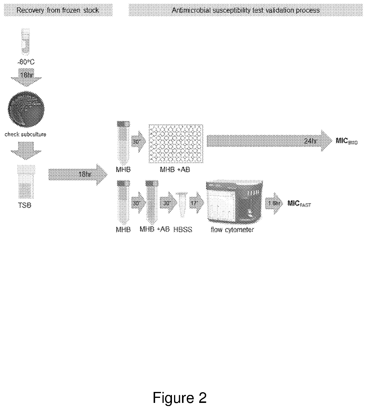 Method for testing antimicrobial susceptibility