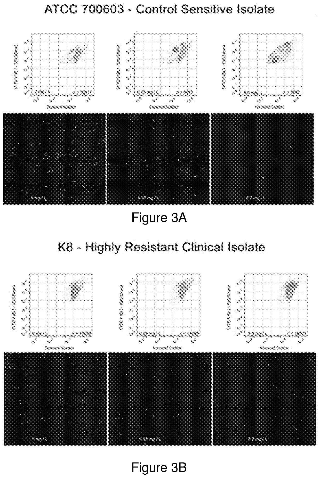 Method for testing antimicrobial susceptibility