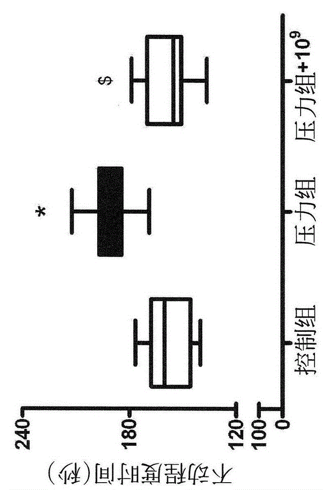 Lactic acid bacterium for prophylaxis or treatment of a stress-included disorder and a composition containing the same