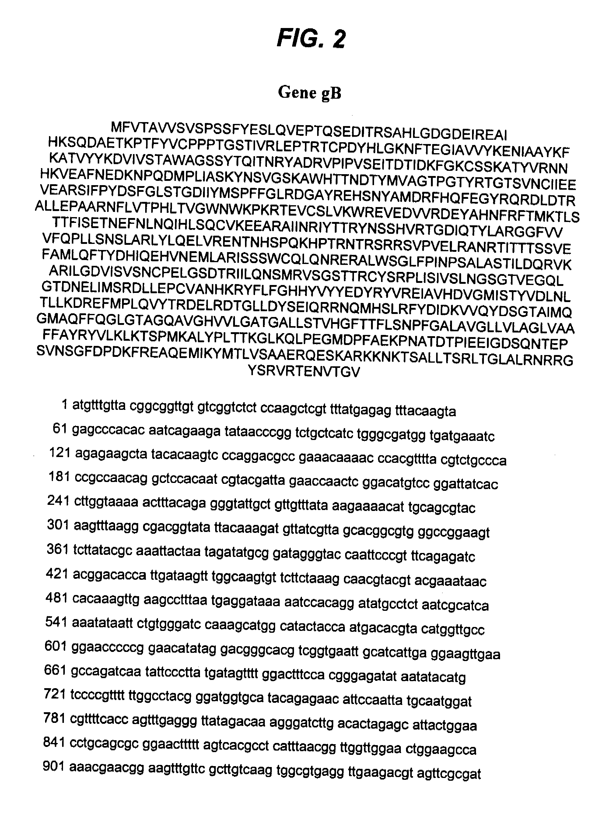 Recombinant Vaccine from gE, gI, and gB Proteins of the Varicella-Zoster Virus for the Treatment and Prevention of Multiple Sclerosis