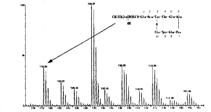 Antibacterial lipopeptide of endophytic Bacillus subtilis and separation and purification method