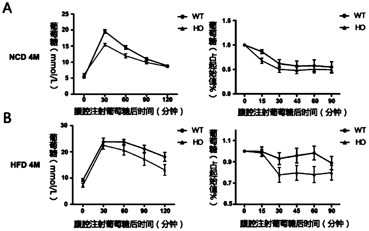 Application of ASB3 in preparation of drugs for treatment of non-alcoholic fatty liver disease