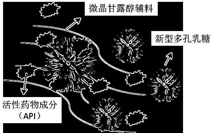 Quick-acting orally disintegrating tablet and powder based on novel porous lactose and microcrystalline mannitol auxiliary materials