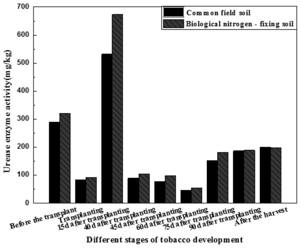 A kind of bio-organic soil for obtaining high-quality tobacco and its preparation method