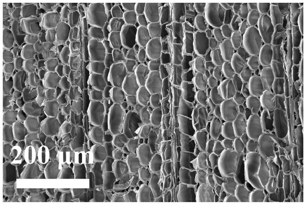 A preparation method and application of wood airgel for oxygen and hydrogen production by alkaline seawater electrolysis