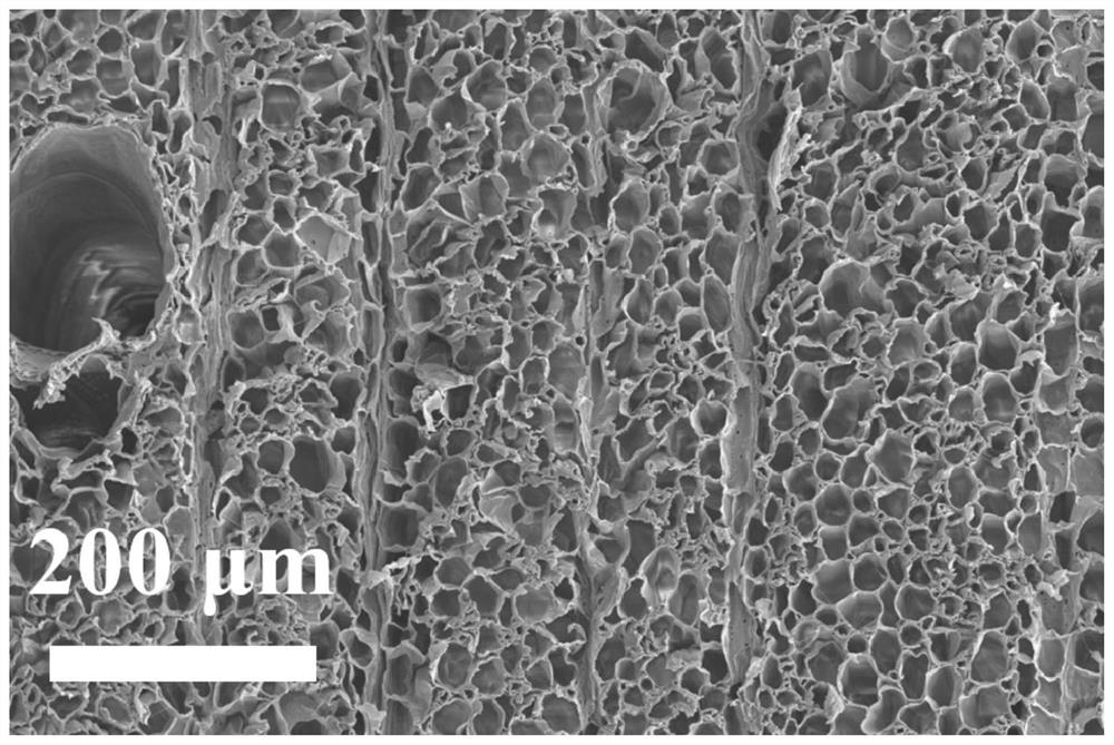 A preparation method and application of wood airgel for oxygen and hydrogen production by alkaline seawater electrolysis