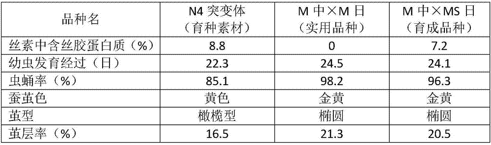 Breeding method for silkworm variety whose secreted fibroin fibril contains sericin protein