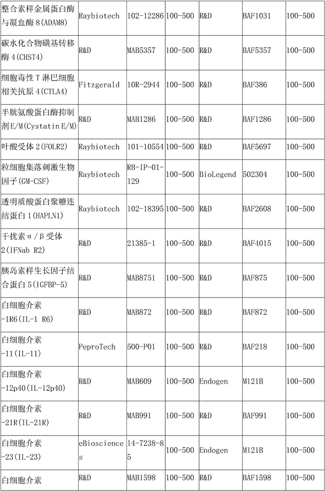 Protein chip and kit for abortive tuberculosis diagnosis