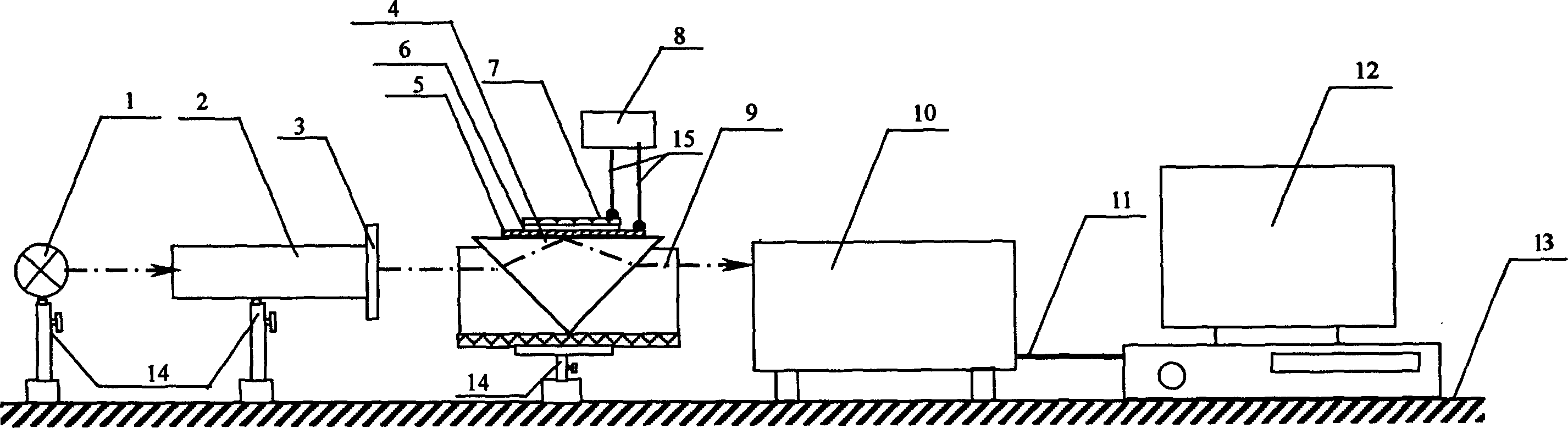 Fixed single-layer DNA probe orientation controlling and real-time monitoring method and apparatus