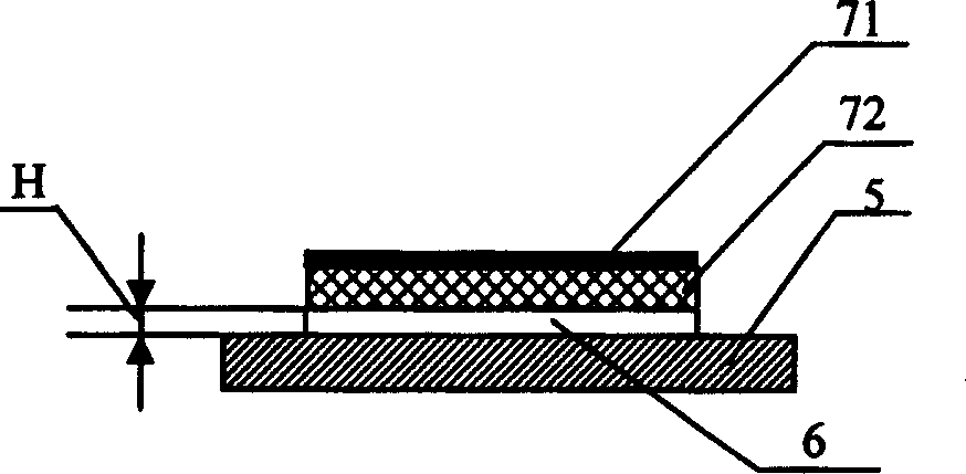 Fixed single-layer DNA probe orientation controlling and real-time monitoring method and apparatus