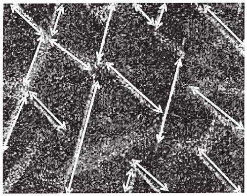 Permanent magnets and rotating electrical machines