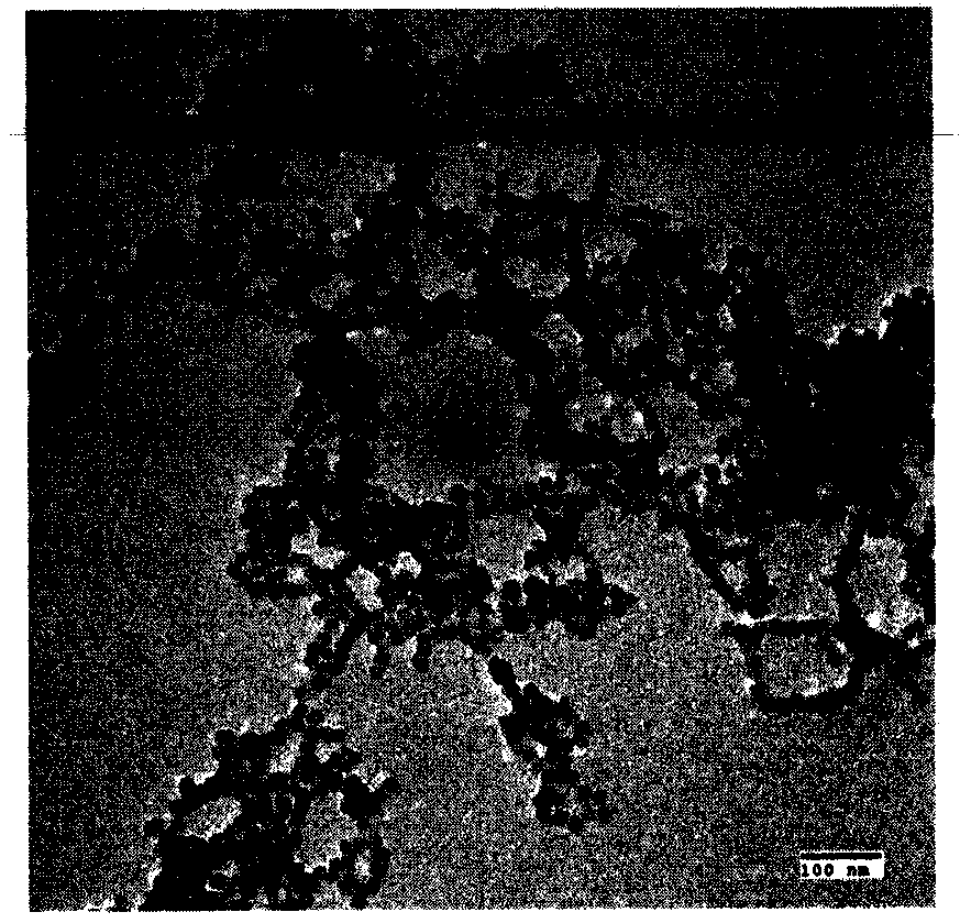 Preparation method of small particle size ferroferric oxide magnetic nano particles