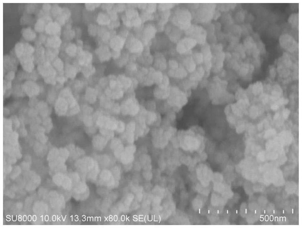 Preparation method, application and use method of capsaicin molecularly imprinted magnetic beads