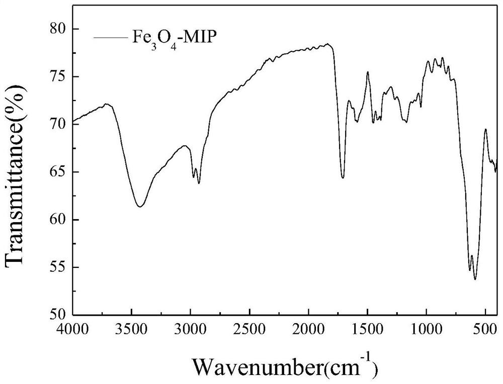 Preparation method, application and use method of capsaicin molecularly imprinted magnetic beads