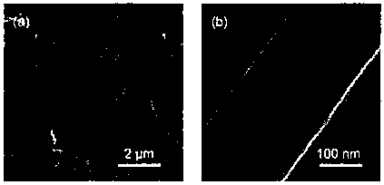 Three-dimensional mixed ion and electron conductor current collector as well as preparation method and application thereof