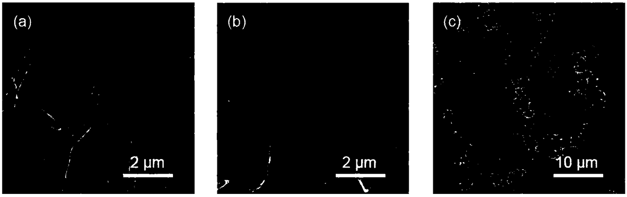 Three-dimensional mixed ion and electron conductor current collector as well as preparation method and application thereof