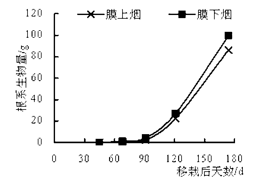 Flue-cured tobacco cultivation method fitting in with geographical characteristics of fen-flavor tobacco producing area