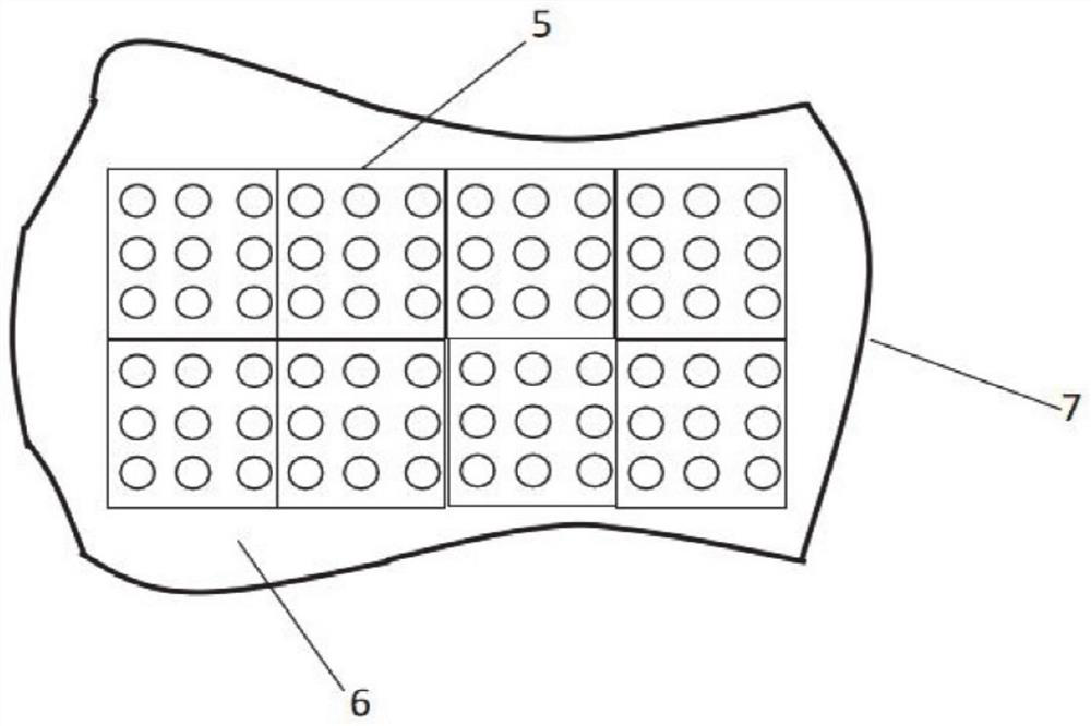 Virtual probe for remote cardiac ultrasound and diagnosis and treatment system