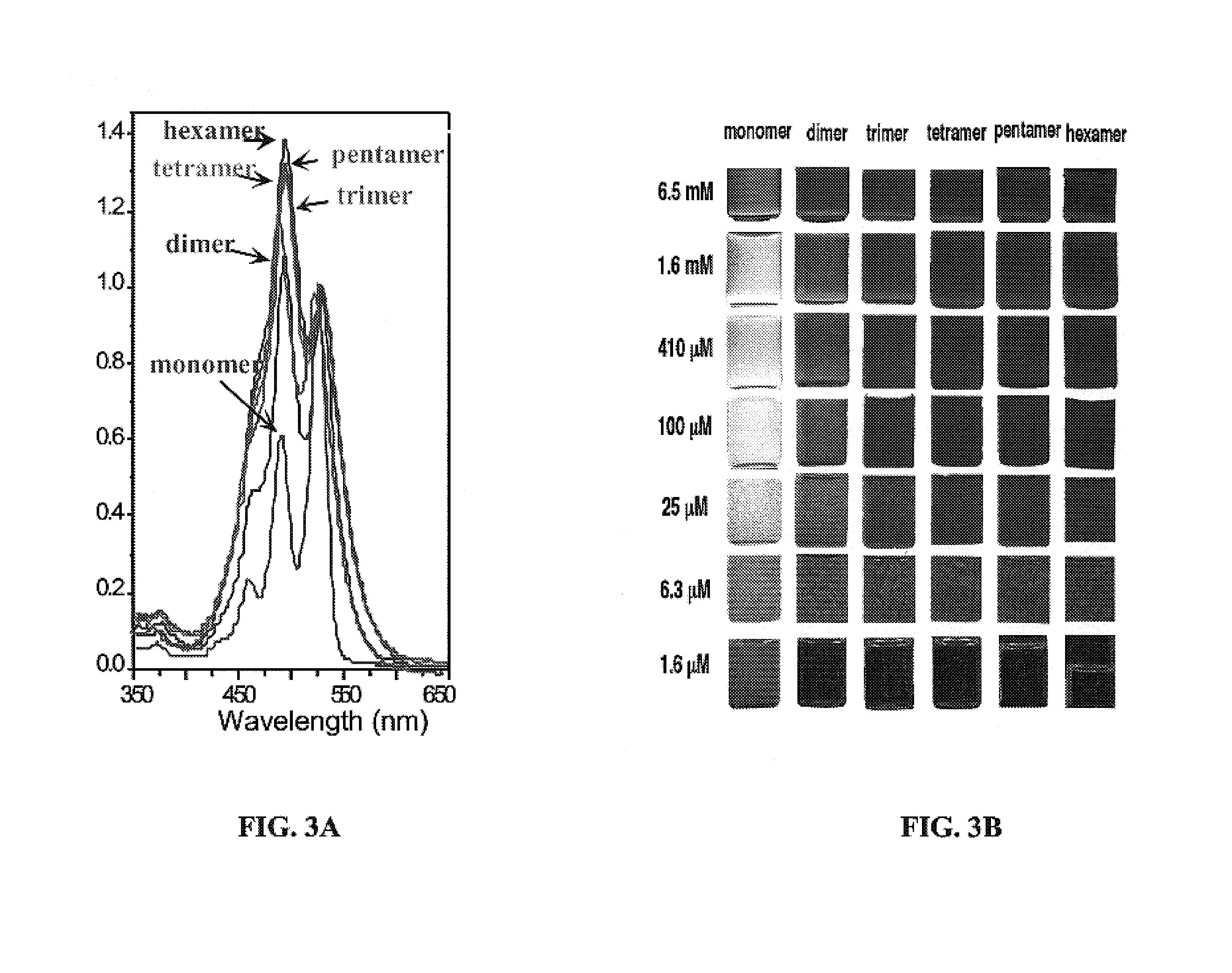 Foldable polymers as probes