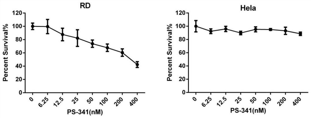 Application of Compound ps-341 in the Preparation of Picornaviridae Enterovirus Inhibitors