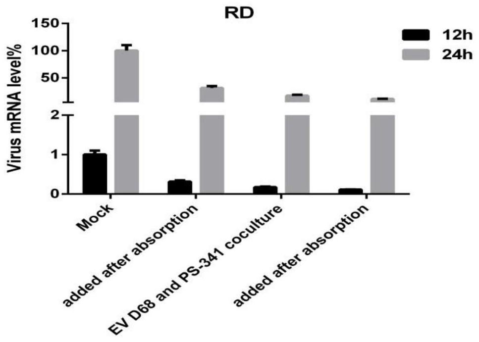 Application of Compound ps-341 in the Preparation of Picornaviridae Enterovirus Inhibitors