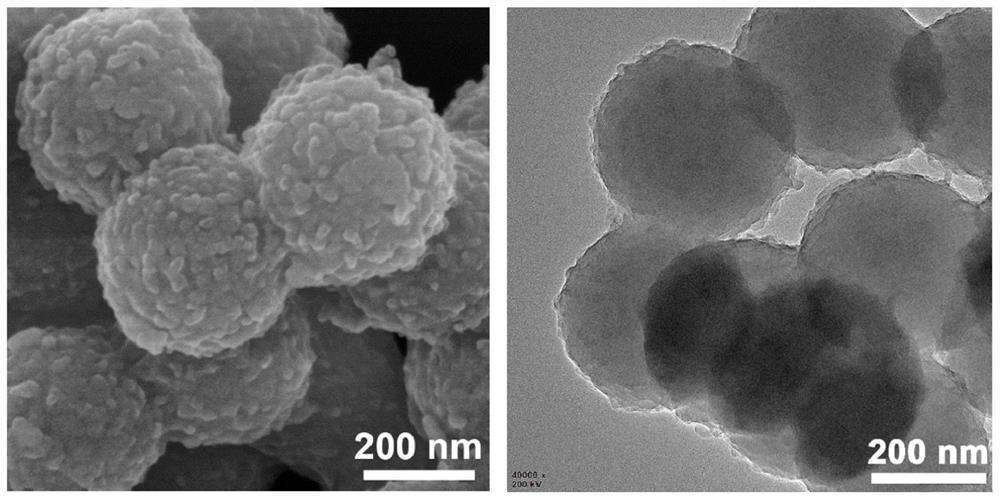 Cyclodextrin-europium/lanthanum molybdate hybrid microsphere, preparation method thereof and application of cyclodextrin-europium/lanthanum molybdate hybrid microsphere in fluorescence detection of phosphorus-containing compound