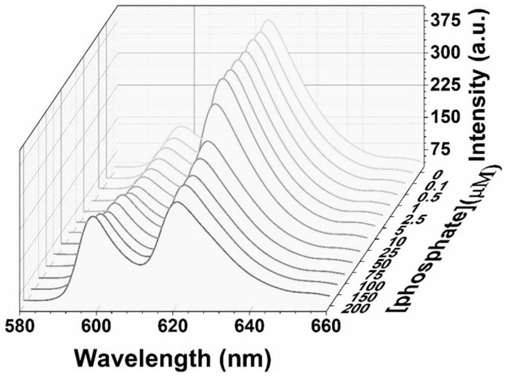 Cyclodextrin-europium/lanthanum molybdate hybrid microsphere, preparation method thereof and application of cyclodextrin-europium/lanthanum molybdate hybrid microsphere in fluorescence detection of phosphorus-containing compound