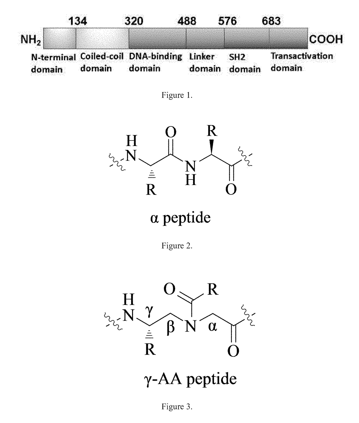 Gamma-aa-peptide stat3/dna inhibitors and methods of use