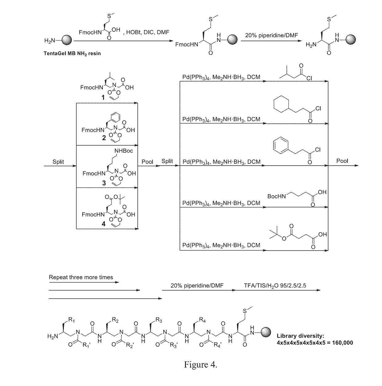 Gamma-aa-peptide stat3/dna inhibitors and methods of use