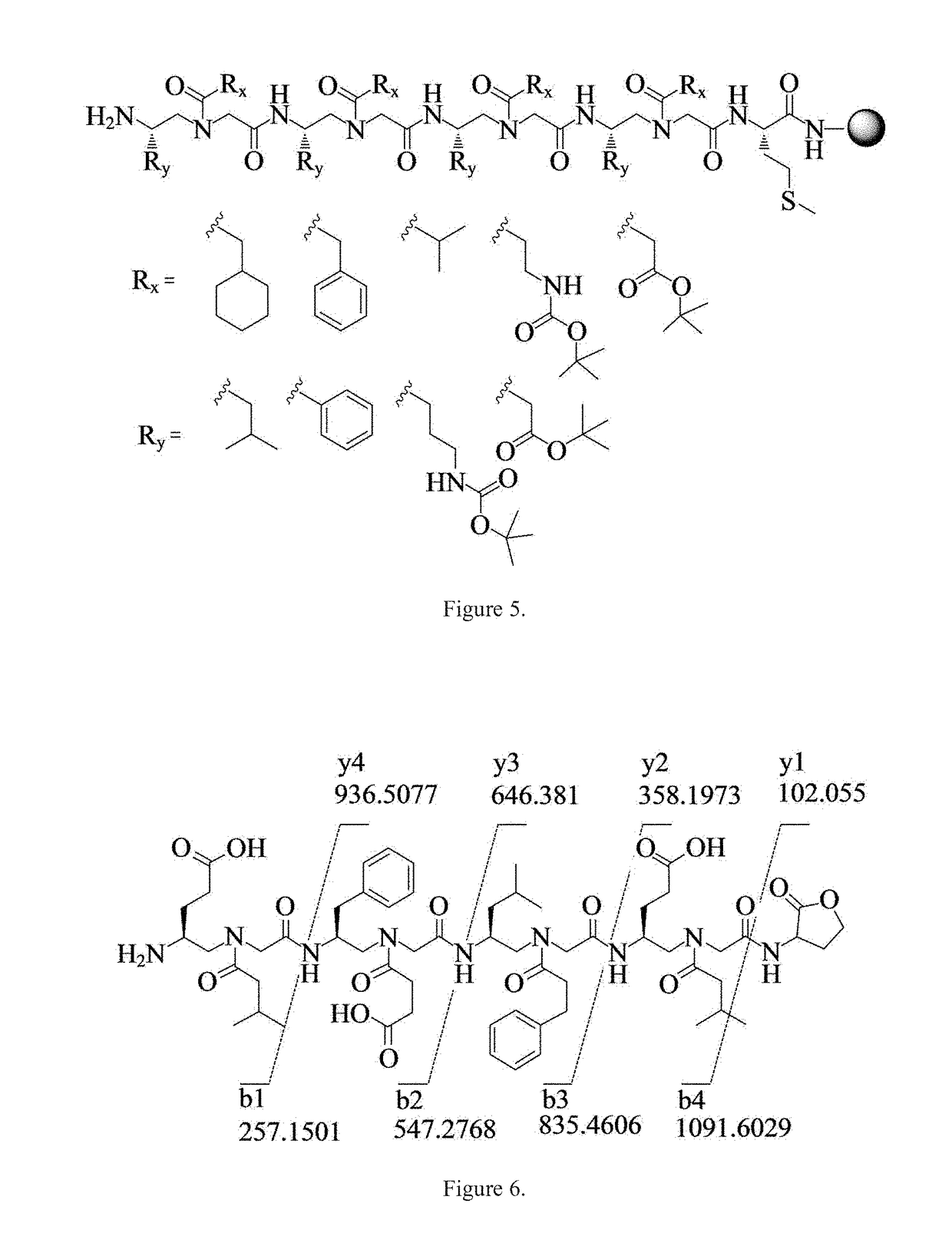 Gamma-aa-peptide stat3/dna inhibitors and methods of use