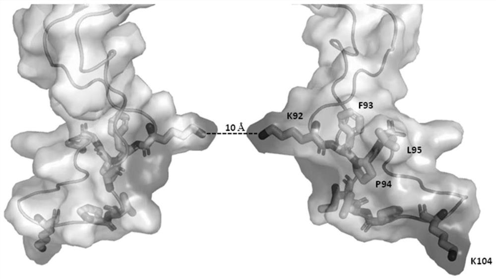 A kind of mnep monomer variant and its application