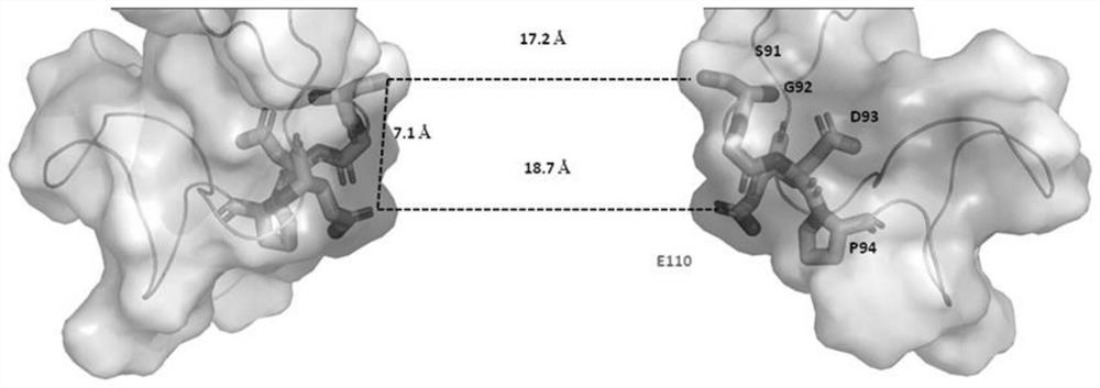 A kind of mnep monomer variant and its application