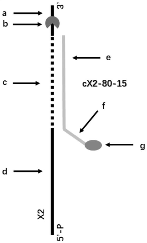 A kind of mnep monomer variant and its application