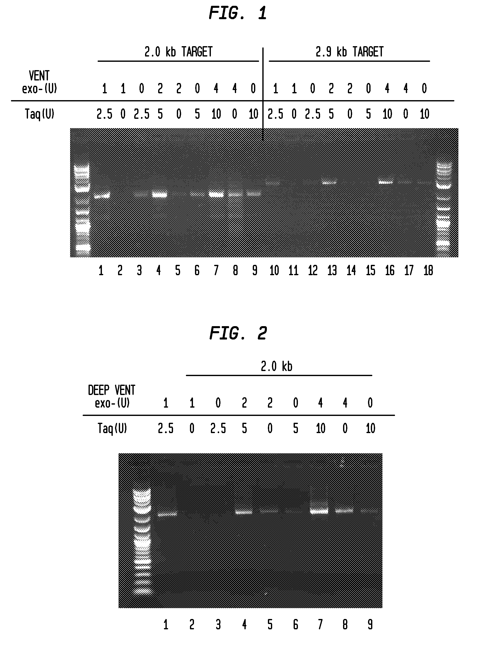 Enzyme Reagents for Amplification of Polynucleotides in the Presence of Inhibitors