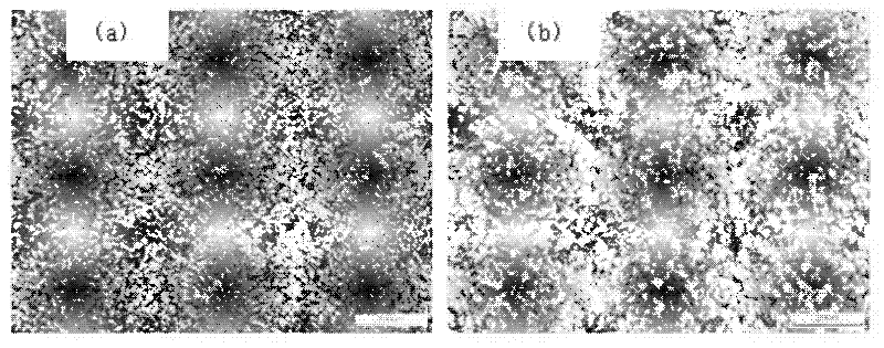 High wear resistance steel for knitting needle and manufacture method thereof