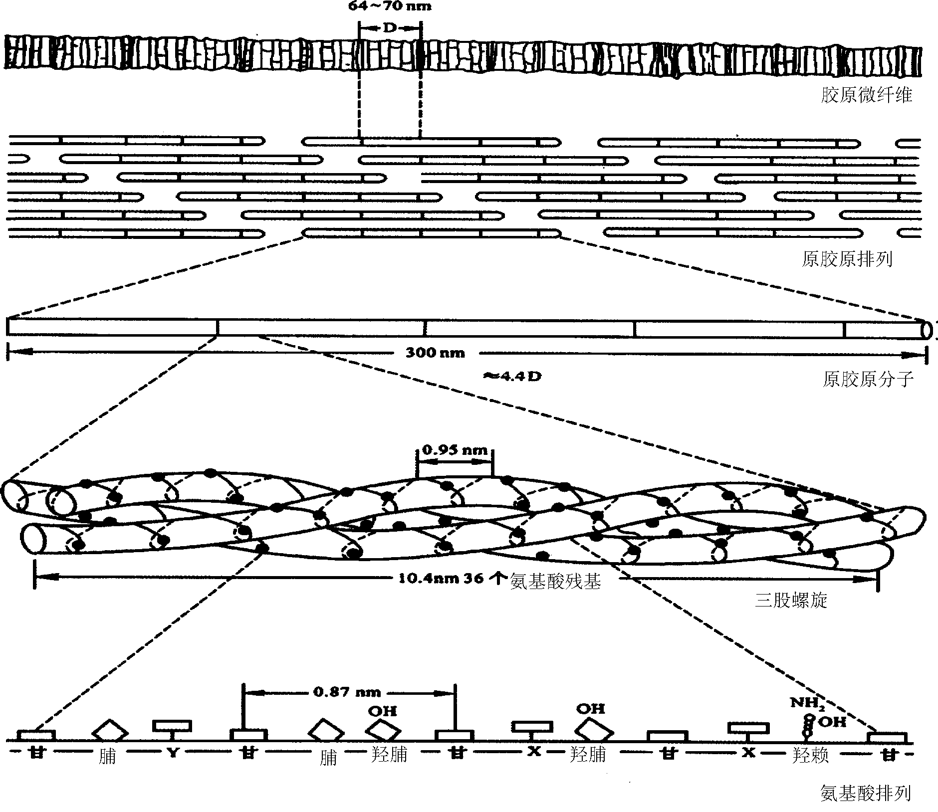 Degradable skin tissue engineering bracket material and preparation method thereof