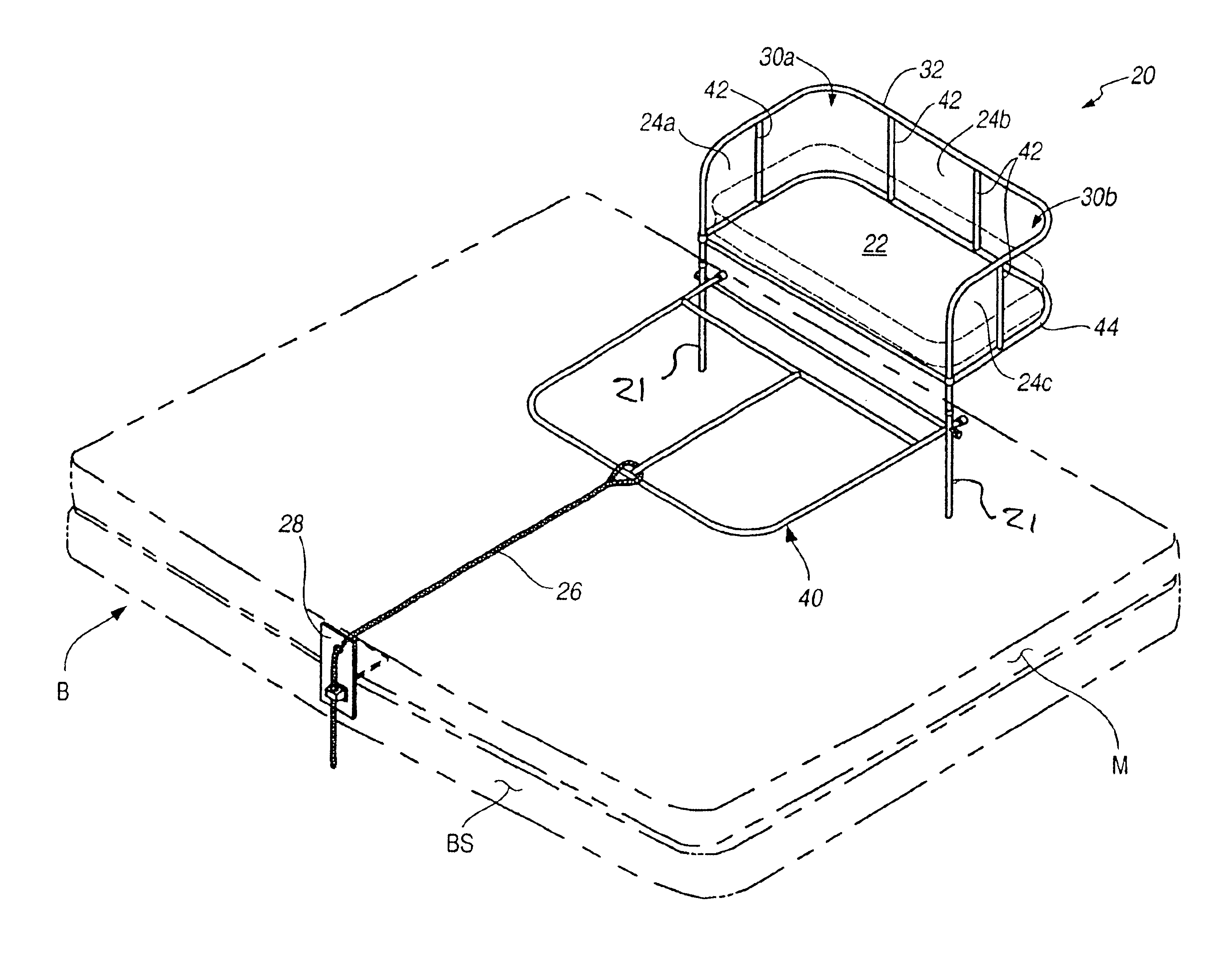 Infant and pet co-sleeper apparatus