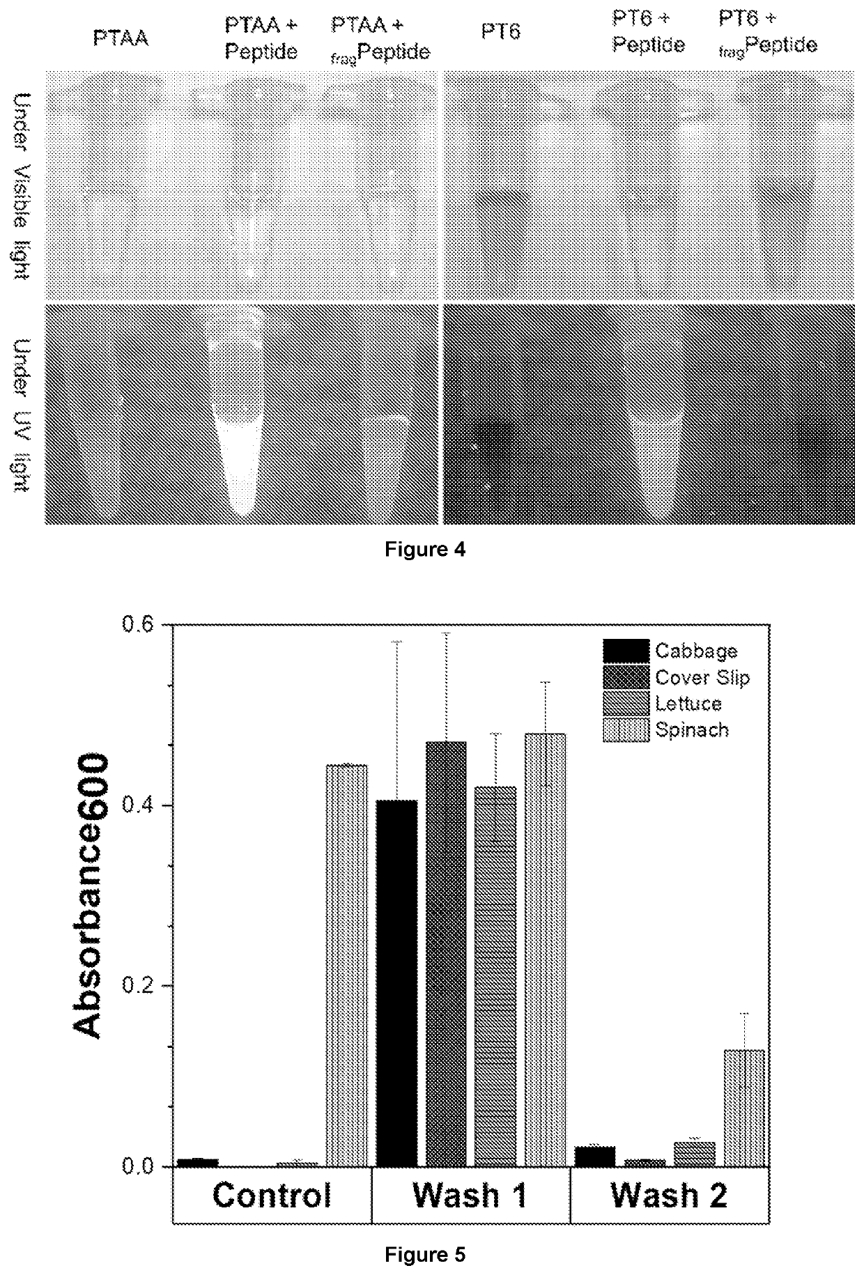 Membrane protease-based methods for detection of bacteria