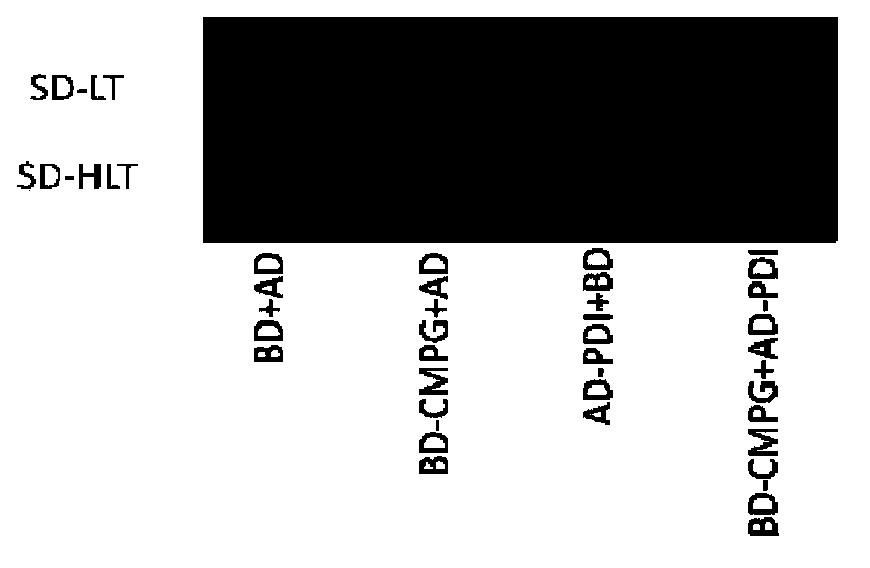 A Disulfide Isomerase Gene and Its Application