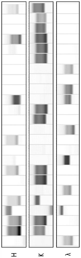 Monoclonal antibody 5e1 against the gp2 subunit of ebov with a unique binding site