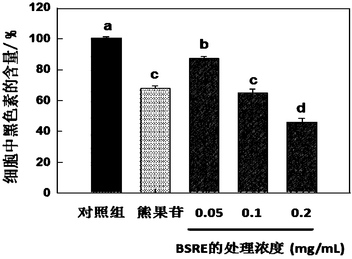 Extraction method of common bletilla tuber extract, whitening and beautifying porridge with common bletilla tuber extract, and preparation method thereof