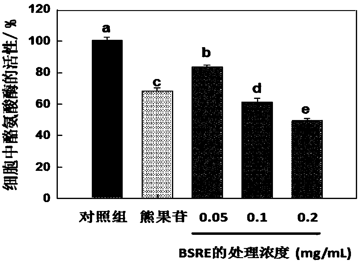 Extraction method of common bletilla tuber extract, whitening and beautifying porridge with common bletilla tuber extract, and preparation method thereof