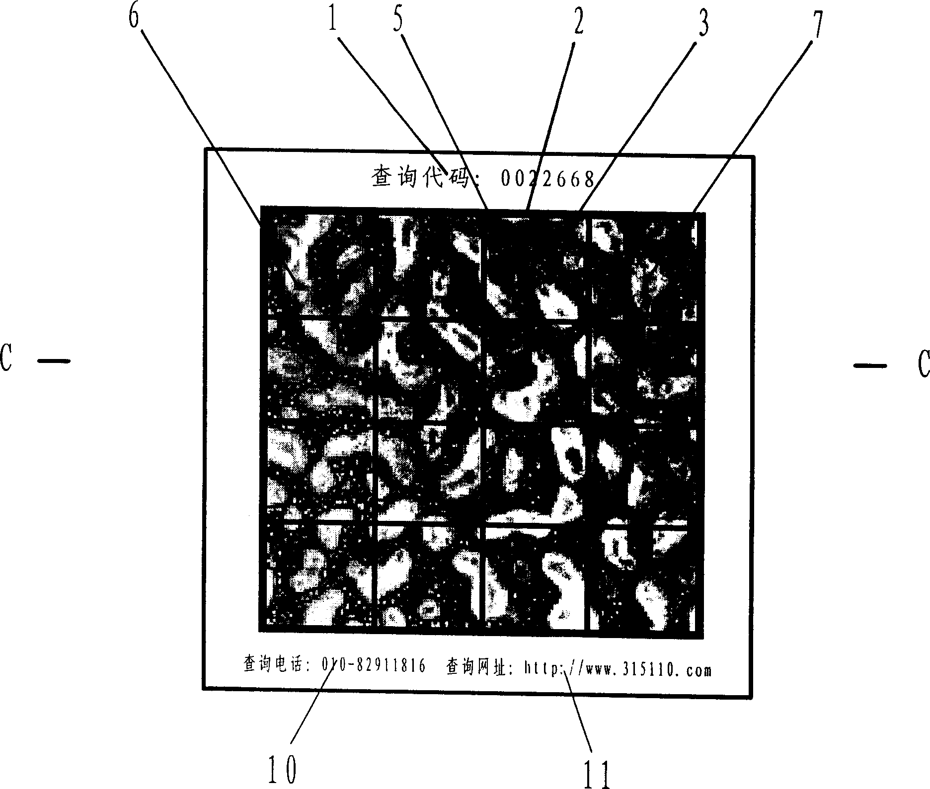 Article with visible random structure anti-fake characteristic