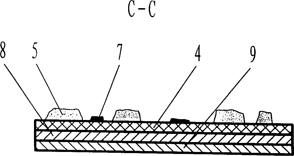 Article with visible random structure anti-fake characteristic