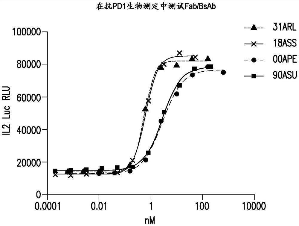 Anti-pd-1/lag3 bispecific antibodies