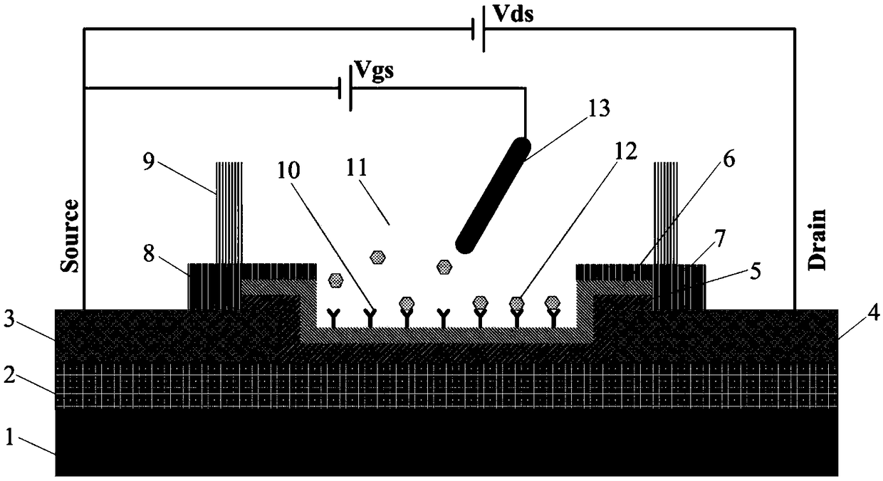 A graphene tumor marker sensor based on multifunctional nanoscale protein film and its preparation method