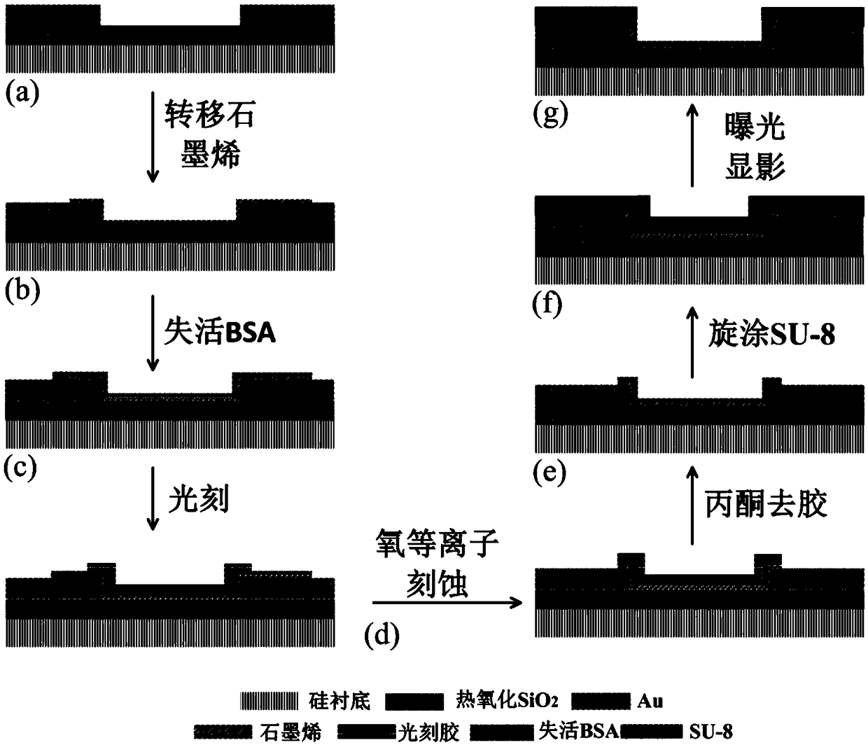 A graphene tumor marker sensor based on multifunctional nanoscale protein film and its preparation method